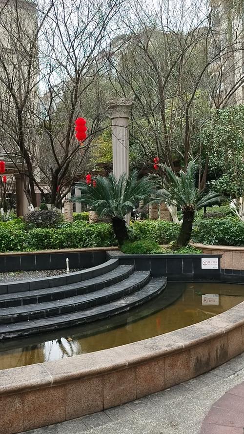 龙辉园林 专业保洁